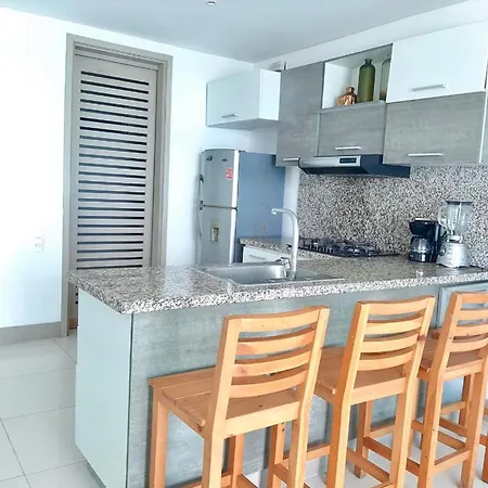 Palmetto 1 *